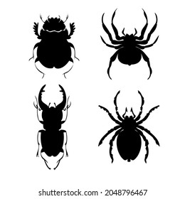 Conjunto de ilustraciones vectoriales de escarabajos y arañas de silueta. Estilo de dibujo manual