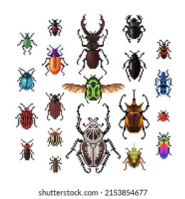 Set of beetles, vector bugs in pixel art style isolated  on white background