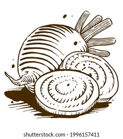 Set of Beetroot Illustration for food farm label organic black and white vintage retro illustration