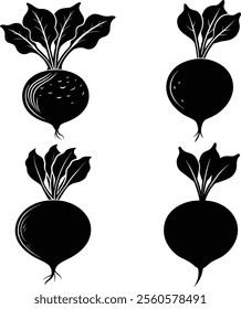 Set of  beetroot silhouette vector illustration