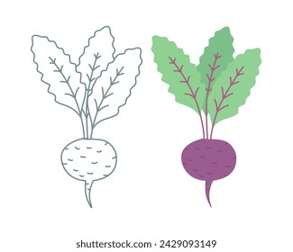 Conjunto de remolachas, un icono de contorno y uno sombreado. Ilustración vectorial plana.