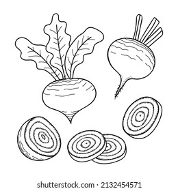Set Of Beets Line Art. Harvest Ripe Vegetables From The Garden. Doodle Drawing Of Herbal Products. Sliced Beetroot. Hand Drawn Vector Outline Illustration.