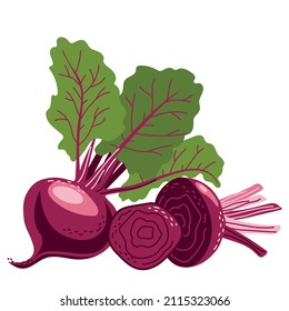 Un conjunto de remolachas en forma completa y rebanadas. Verduras sanas. Ilustración del vector aislada en un fondo blanco