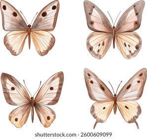 set of Beige Butterfly Watercolor  vector illustration