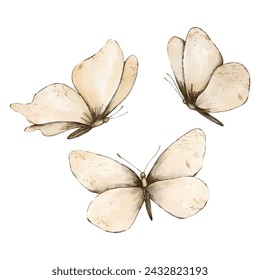 Set of beige field butterflies