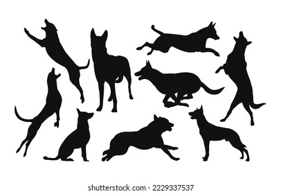 Set of belgian malinois dog silhouette isolated one white background svg
