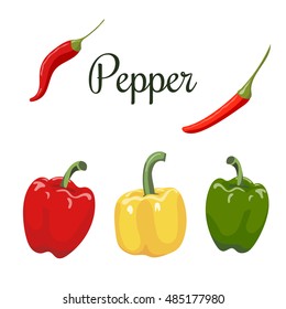 Set of bell and hot peppers. Vector illustration.