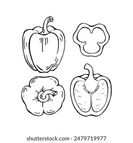 Juego de pimiento morrón. Ilustración vectorial dibujada a mano