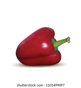 Set, Bell pepper. Vector illustration on White background.