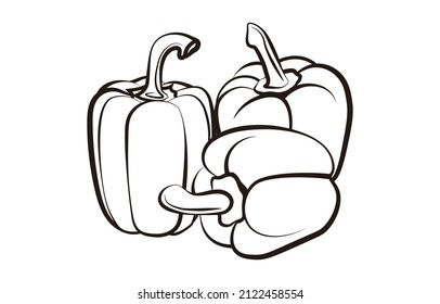 a set of Bell Pepper vector illustration