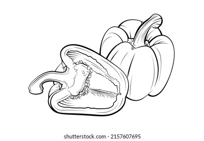 a set of Bell Pepper vector illustration