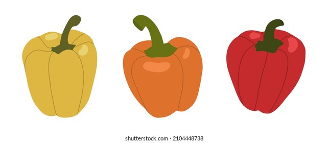Glockenpfeffer. Farbige Vektorgrafik.