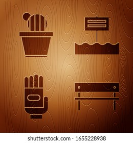 Set Bench, Cactus and succulent in pot, Garden gloves and Blank wooden sign board on wooden background. Vector