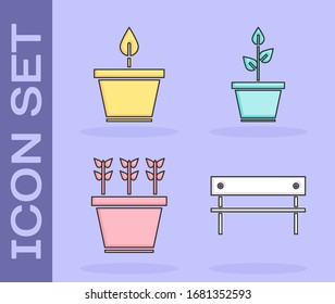 Set Bench, Plant in pot, Plants in pot and Plant in pot icon. Vector