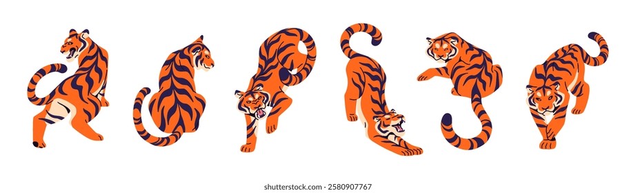 Set of Bengal or Amur tiger in different poses. Striped big cat of jungle, wild animal of rainforest. Tigris is angry, stretches, roars, bares teeth. Flat isolated vector illustrations on white