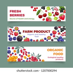 Set of berries banner. Standard web design size. Vector bright colorful fresh food illustration on white background in simple cartoon flat style.