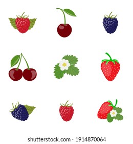 Set of berries. Cherry, blackberry,  strawberry and raspberry. Isolated vector illustration on a white background.