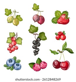 Set of berries drawn by hand in a realistic style. Isolate on white background.