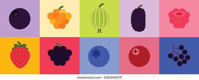 Set of Berries, Farm fresh cloudberry, black mulberry, chokeberry, red raspberry, strawberry, gooseberry, cranberry, acai berry, blueberry, blackberry, grocery shop simple flat vector illustration.