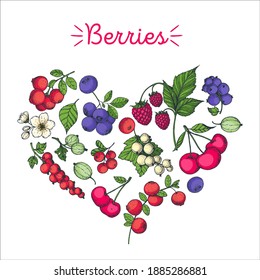 Conjunto de bayas en forma de corazón. Ilustración vectorial dibujada a mano por Berries. Ilustración vectorial.
