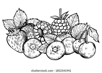 Set of berries, hand drawn vector