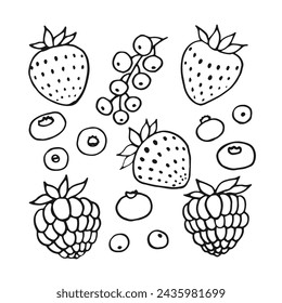 Set of berries. Hand drawn vector illustration in outline style.