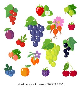 Set of berries icons. Isolated objects.  Modern flat design.  Vector illustration