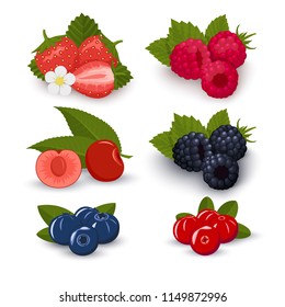 Set of berries icons on a white background. Strawberries, raspberries, blackberries, blueberries, cherries, cranberries. Vector illustration.