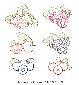 Set of berries icons on a white background. Strawberries, raspberries, blackberries, blueberries, cherries, cranberries. Vector illustration.