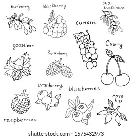 Set of berries with the inscription. Elements for your design. A series of food and culinary ingredients. Hand drawn vector illustration isolated on white background.