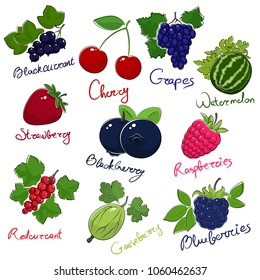Set of Berries with Inscriptions Isolated on White Background, 10 Summer Fruits, Vector Illustration