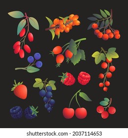 Conjunto de bayas aisladas en un fondo oscuro. Ilustración vectorial en estilo plano. Rowan, arándanos, arándanos, barándanos, espinas marinas, fresas, cerezas, grosellas, frambuesas, frambuesas