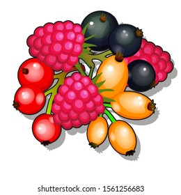 Set of berries isolated on a white background. Vector cartoon close-up illustration
