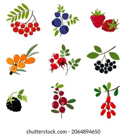 Set of Berries and leaves. Raspberry, Barberry, Sea Buckthorn, Rowan, Chokeberry, Blueberry, Cranberry, Rosehip. Flat style Vector Illustration.