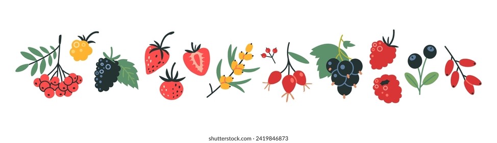 Set of berries like raspberry, strawberry, rowan, cloudberry, currant, blueberry and barberry, cartoon style. Trendy modern vector illustration isolated on white background, hand drawn, flat design