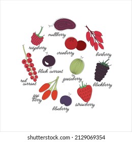 Set of berries in line drawing