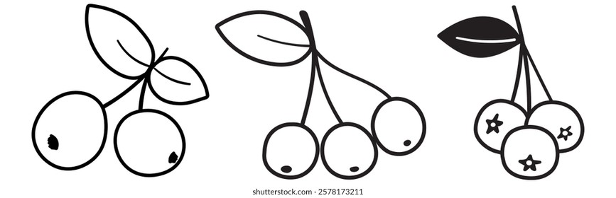 Set of berries. Outline vector design. Isolated icons on white background.