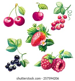 Set of berries. Raspberries, cherries, strawberries, currants.