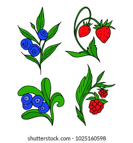Set of berries vector illustration. Doodle style. Design, print, logo, decor, textile, paper
