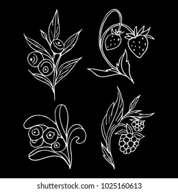 Set of berries vector illustration. Doodle style. Design, print, logo, decor, textile, paper