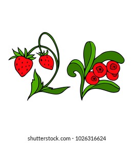 Set of berries vector illustration. Doodle style. Design, print, logo, decor, textile, paper