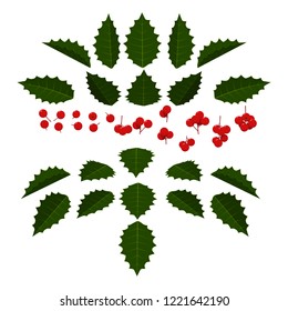 Set of berry element for making berry composition