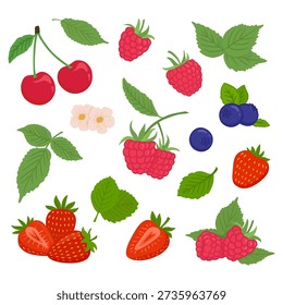 set of berry in flat style isolated on white background. Raspberry, strawberry, cherry, blueberry. Berry for menu, label, recipe, farm product packaging. Vector illustration