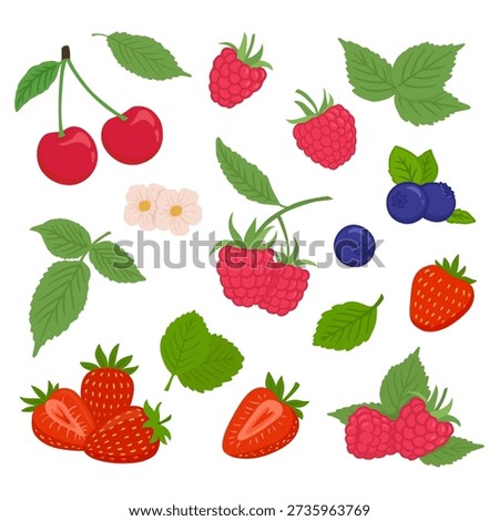 set of berry in flat style isolated on white background. Raspberry, strawberry, cherry, blueberry. Berry for menu, label, recipe, farm product packaging. Vector illustration