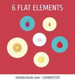 Set of berry icons flat style symbols with pomegranate, plum, orange and other icons for your web mobile app logo design.