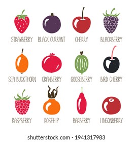 Set of berry icons with handwritten names isolated on transparent background. Colorful berries original design. Vector shabby hand drawn illustration