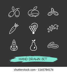 Set of berry icons line style symbols with spearmint, corn, currant and other icons for your web mobile app logo design.