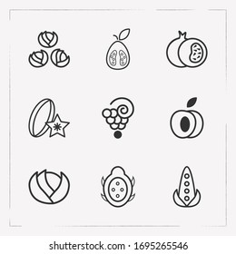 Set of berry icons line style symbols with dragon fruit, grape, guava and other icons for your web mobile app logo design.