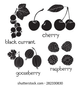 Set of  berry silhouettes on a white background. Raspberry, gooseberry, cherry, currant.