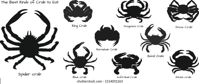 Set of the best kinds of crab to eat.Crab vector by hand drawing.crab silhouette on white background.Horsehair Crab art highly detailed in line art style.Animal pictures for coloring.